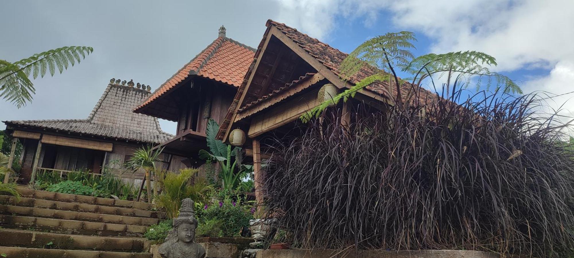 Pondok Kawinaya Singaraja Quarto foto
